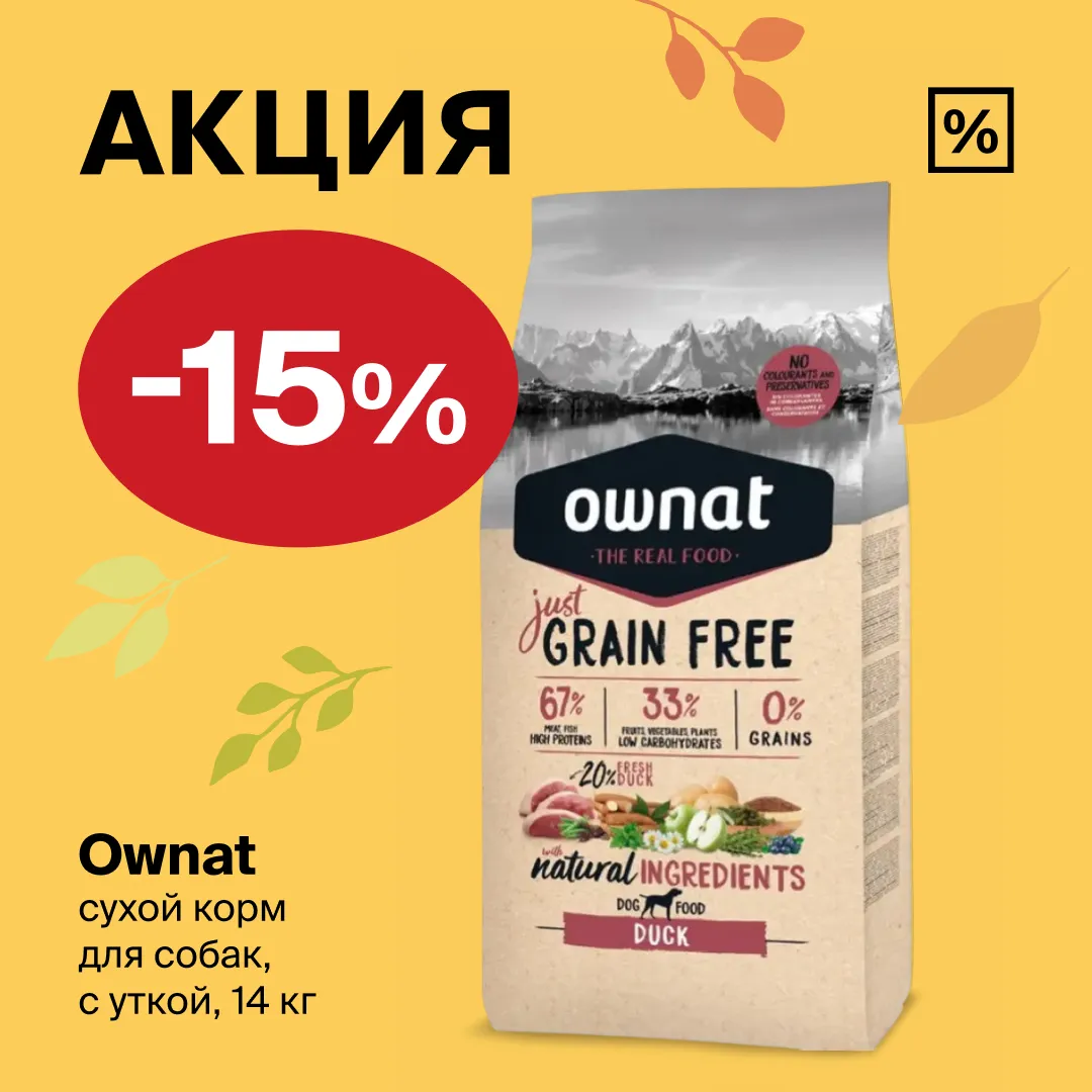 Скидка -15% на сухой корм 